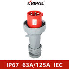IP67 ثلاث مراحل 63A 125A 380V المكونات الصناعية والمقبس IEC قياسي