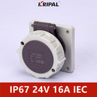 48V 32A IP67 3P منخفض الجهد مثبت على لوحة المقبس القياسي IEC
